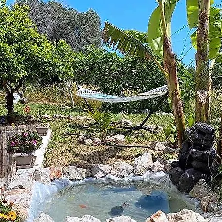 Casa Terra