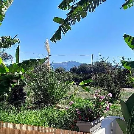 Casa Terra