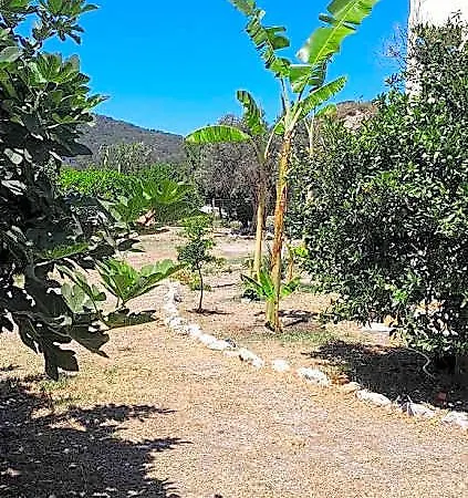 Casa Terra